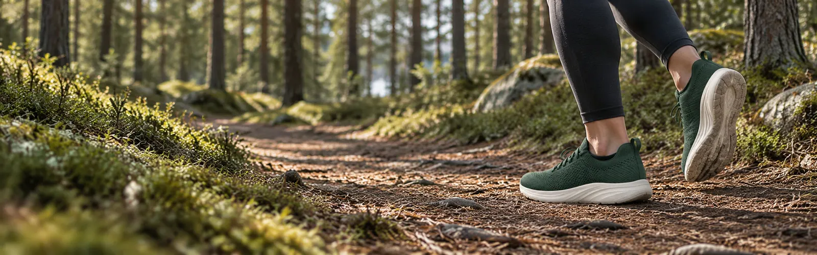 A band of forest floor